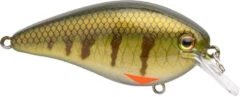 Strike King KVD Elite 2.5 Squarebill Crankbait - 2.75 Inch -Strike King Shop 42462358798424