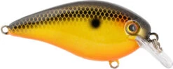 Strike King KVD Elite 4.0 Squarebill Crankbait - 4 Inch -Strike King Shop 42462359781464