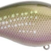 Strike King KVD Elite 4.0 Squarebill Crankbait - 4 Inch