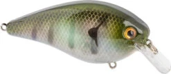 Strike King KVD Elite 4.0 Squarebill Crankbait - 4 Inch -Strike King Shop 42462360076376