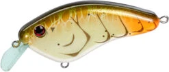 Strike King Hardliner Flat Sided Crankbait - 2.5 Inch 22 Strike King Hardliner Flat Sided Crankbait - 2.5 Inch -Strike King Shop 42958748811352