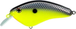 Strike King Hardliner Flat Sided Crankbait - 2.5 Inch 24 Strike King Hardliner Flat Sided Crankbait - 2.5 Inch -Strike King Shop 42958748876888