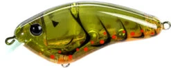 Strike King Hardliner Flat Sided Crankbait - 2.5 Inch 34 Strike King Hardliner Flat Sided Crankbait - 2.5 Inch -Strike King Shop 42958749466712