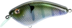 Strike King Hardliner Flat Sided Crankbait - 2.5 Inch 39 Strike King Hardliner Flat Sided Crankbait - 2.5 Inch -Strike King Shop 42958749827160