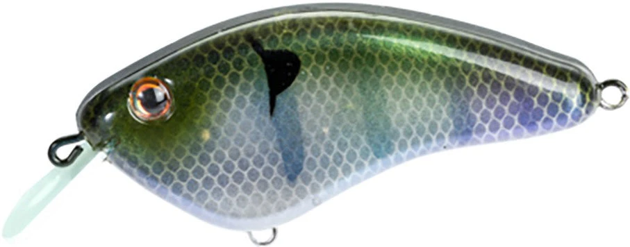 Strike King Hardliner Flat Sided Crankbait - 2.5 Inch 20 Strike King Hardliner Flat Sided Crankbait - 2.5 Inch - Image 20