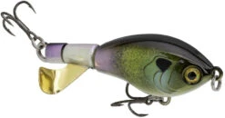 Strike King Bitsy Chickin Topwater 12 Strike King Bitsy Chickin Topwater -Strike King Shop 43354372243544
