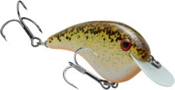 Strike King Chick Magnet Flat Sided Crankbait -Strike King Shop HCCM 563