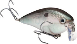 Strike King KVD 2.5 Wake Bait Waking Crankbait -Strike King Shop HCKVD2.5W 568