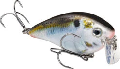 Strike King KVD 2.5 Wake Bait Waking Crankbait -Strike King Shop HCKVD2.5W 699