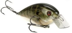 Strike King KVD Magnum Square Bill 8.0 Silent Crankbaits 28 Strike King KVD Magnum Square Bill 8.0 Silent Crankbaits -Strike King Shop Natural Bream 55223427 a39e 4769 b20d 1bc73fee5dce