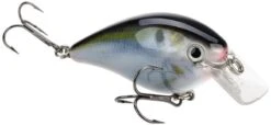 Strike King KVD Magnum Square Bill 8.0 Silent Crankbaits 29 Strike King KVD Magnum Square Bill 8.0 Silent Crankbaits -Strike King Shop Natural Shad 9eb0779d d45c 4460 b516 db24e746528f