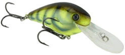Strike King Gravel Dawg 8 Crankbait - 3.5 Inch 37 Strike King Gravel Dawg 8 Crankbait - 3.5 Inch -Strike King Shop Summer 20Craw
