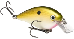 Strike King KVD Magnum Square Bill 8.0 Silent Crankbaits 36 Strike King KVD Magnum Square Bill 8.0 Silent Crankbaits -Strike King Shop tn shad