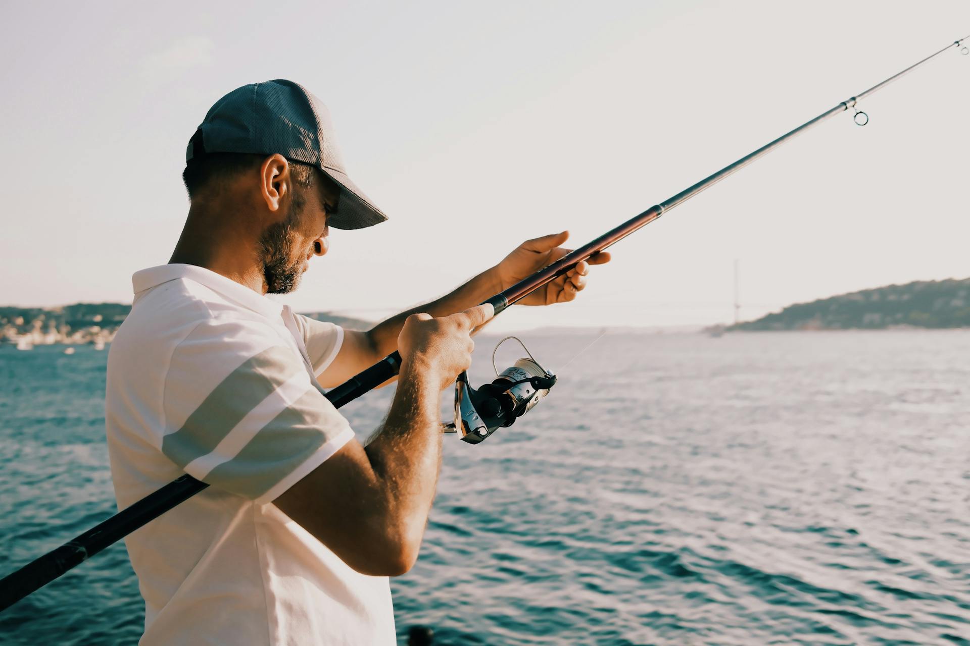 Strike King Shop -Strike King Shop pexels trksami 33294196